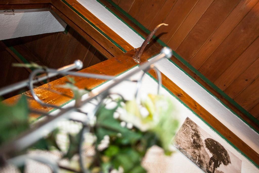 Chalet Appartement Alpenherz 잘바흐 힌터글렘 객실 사진